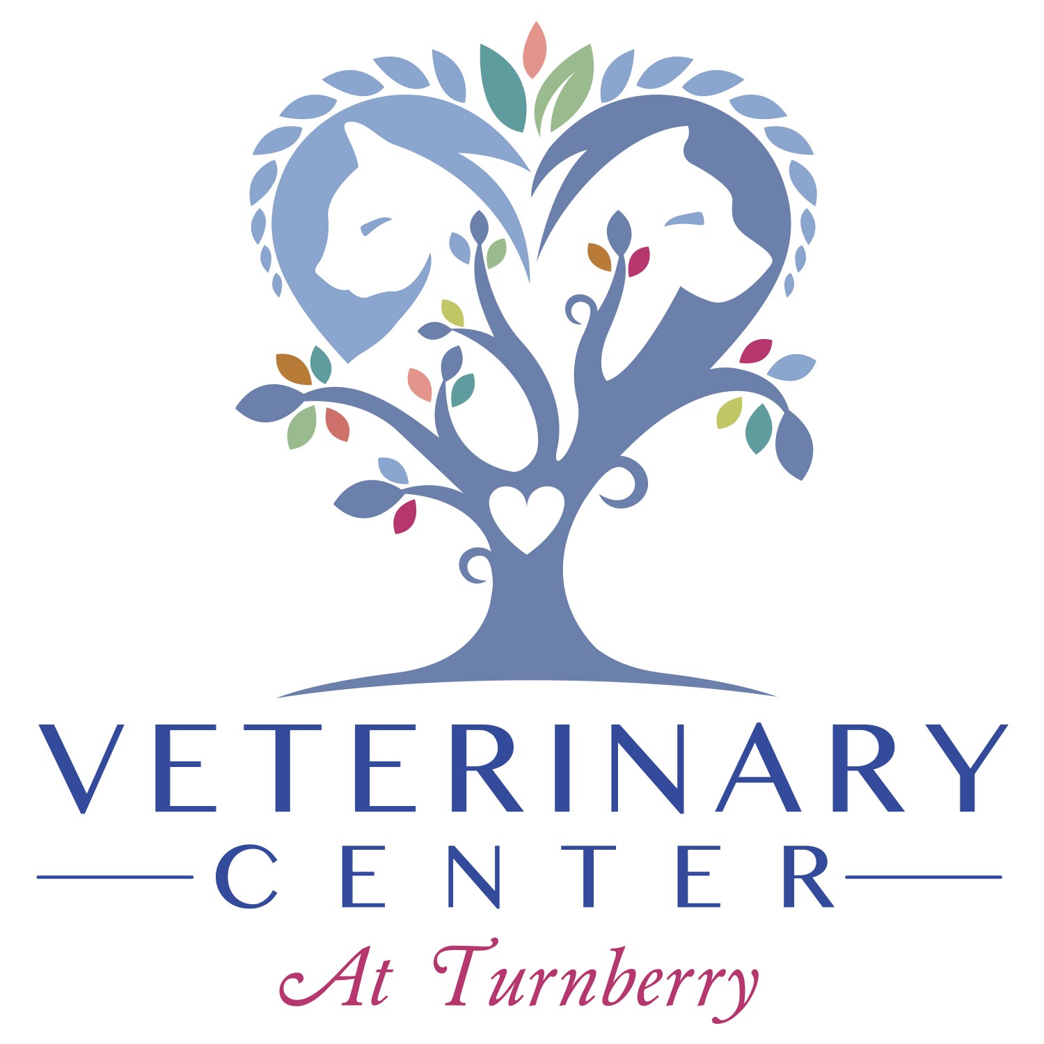 Your veterinarian, Dr. Enos, in Reunion, Fronterra, Commerce City